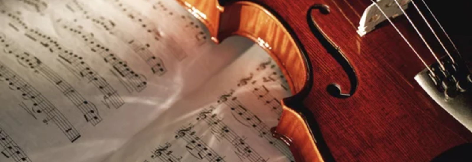 Bundaberg Music Store Instrument Repairs Shop Online